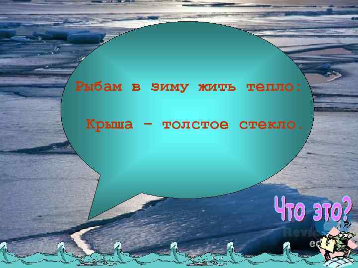 Рыбам в зиму жить тепло: Крыша – толстое стекло. 
