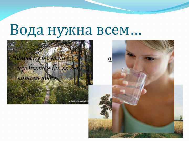 Вода нужна всем… Человеку в сутки требуется более 2 -х литров воды Ее пьют