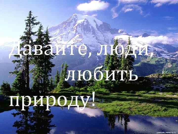 Давайте, люди, любить природу! 