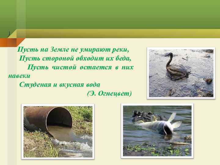 ) Пусть на Земле не умирают реки, Пусть стороной обходит их беда, Пусть чистой