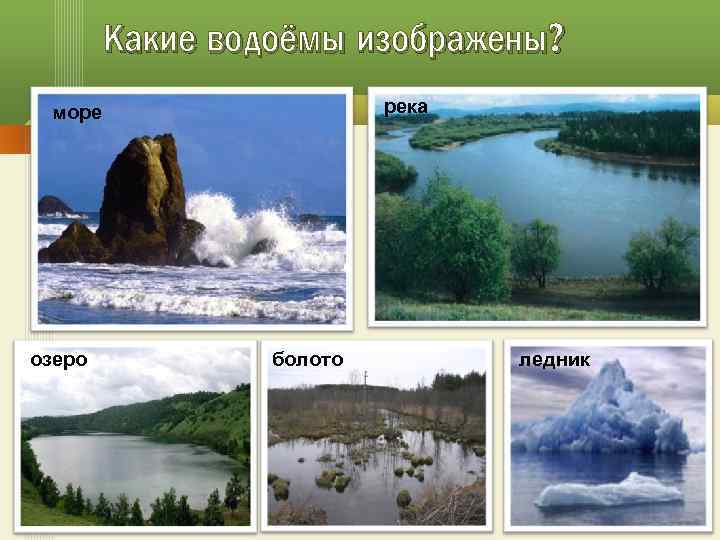 Какие водоёмы изображены? река море озеро болото ледник 