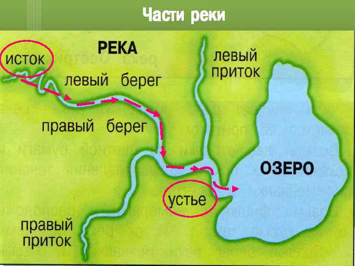Части реки 