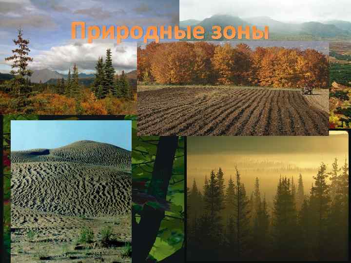 Природные зоны 