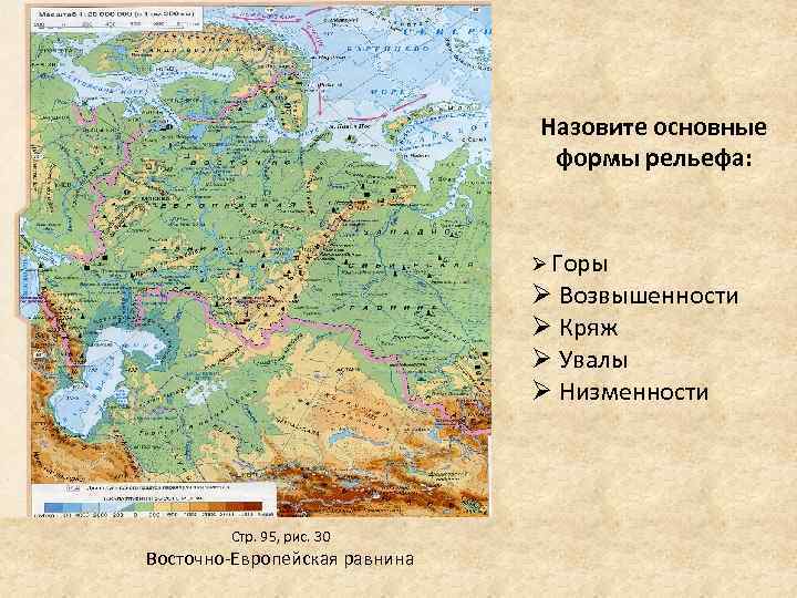 Назовите основные формы рельефа: Ø Горы Ø Возвышенности Ø Кряж Ø Увалы Ø Низменности