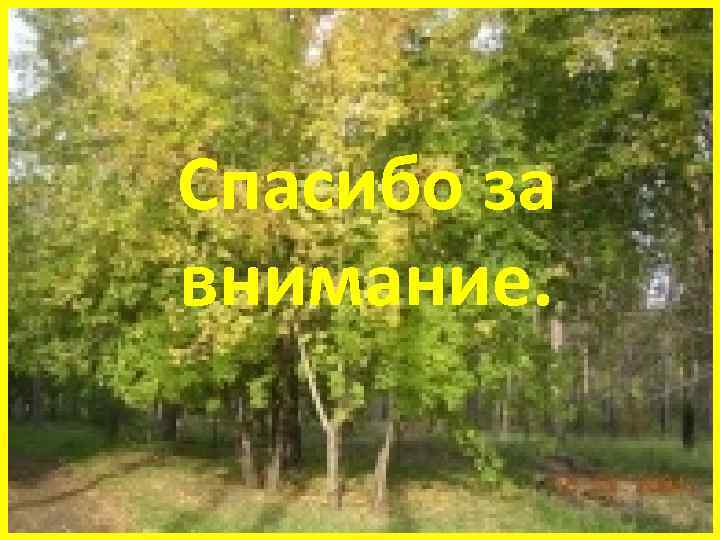 Спасибо за внимание. 