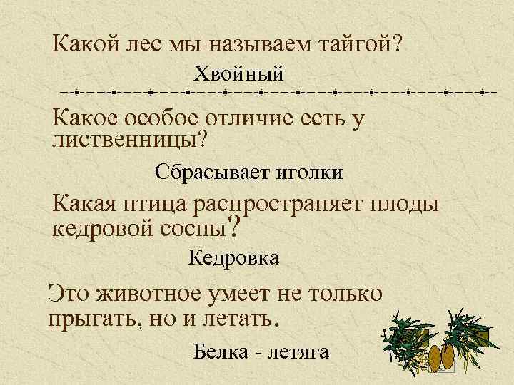 Какой лес мы называем тайгой? Хвойный Какое особое отличие есть у лиственницы? Сбрасывает иголки