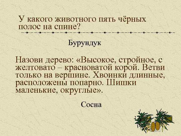 У какого животного пять чёрных полос на спине? Бурундук Назови дерево: «Высокое, стройное, с