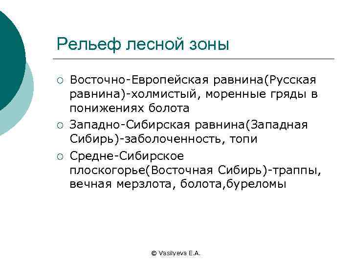 Рельеф лесной зоны ¡ ¡ ¡ Восточно-Европейская равнина(Русская равнина)-холмистый, моренные гряды в понижениях болота