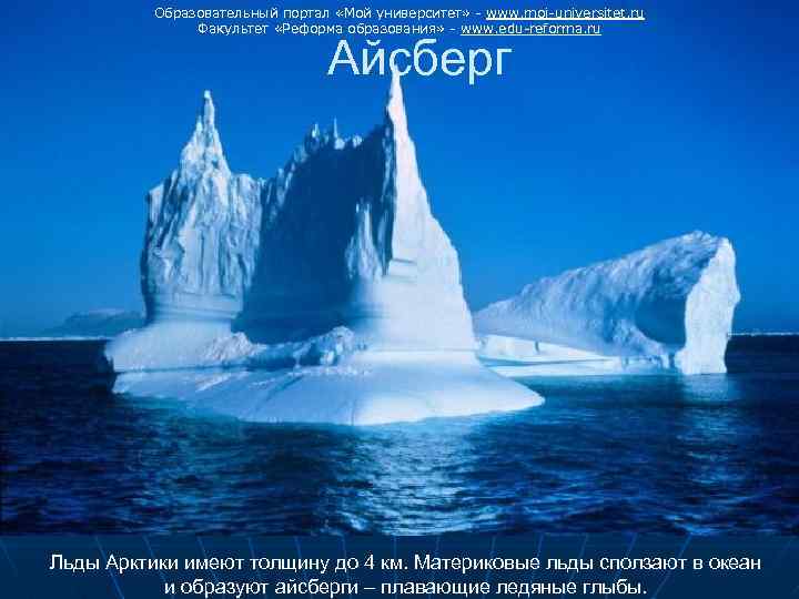 Образовательный портал «Мой университет» - www. moi-universitet. ru Факультет «Реформа образования» - www. edu-reforma.