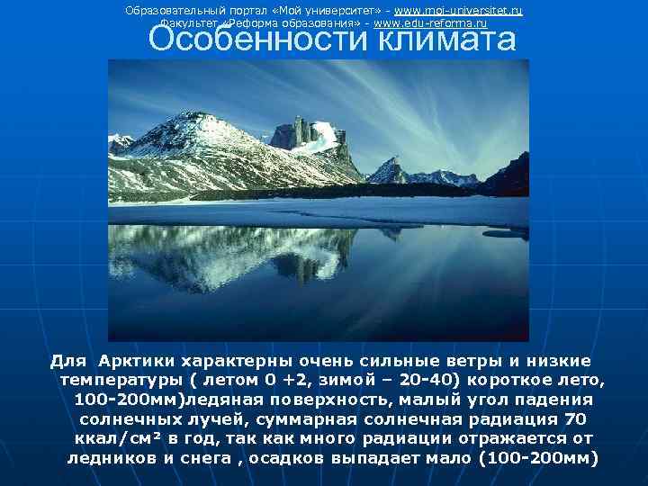 Образовательный портал «Мой университет» - www. moi-universitet. ru Факультет «Реформа образования» - www. edu-reforma.