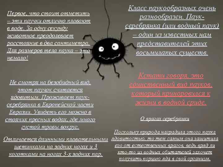 Первое, что стоит отметить – эти паучки отлично плавают в воде. За одну секунду