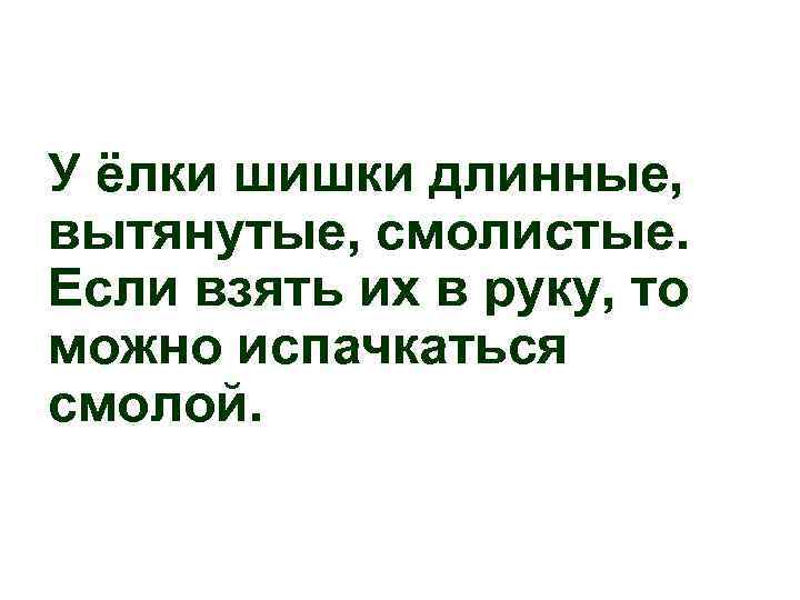 У ёлки шишки длинные, вытянутые, смолистые. Если взять их в руку, то можно испачкаться