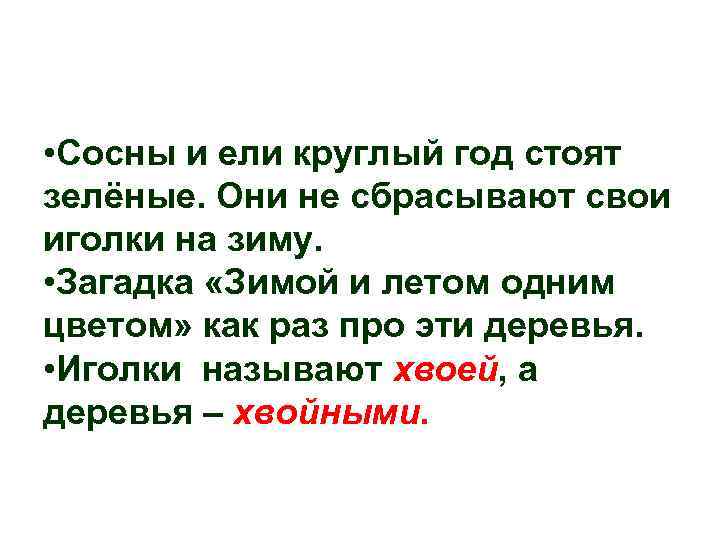  • Сосны и ели круглый год стоят зелёные. Они не сбрасывают свои иголки