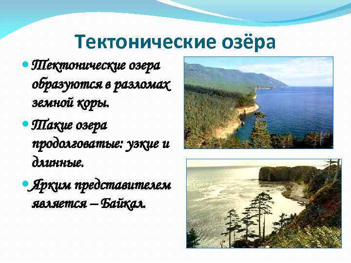 Тектонические озёра Тектонические озера образуются в разломах земной коры. Такие озера продолговатые: узкие и