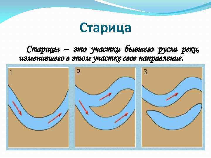 Старица Старицы – это участки бывшего русла реки, изменившего в этом участке свое направление.