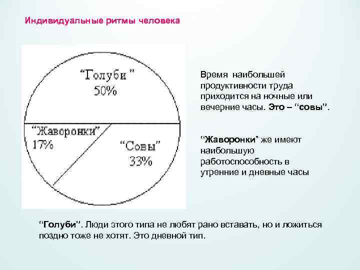 Индивидуальные ритмы человека Время наибольшей продуктивности труда приходится на ночные или вечерние часы. Это