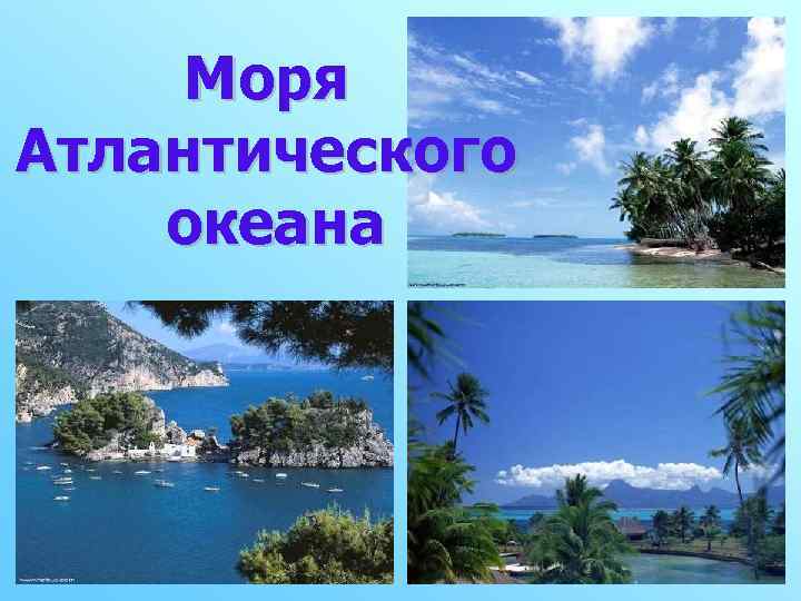 Моря Атлантического океана 