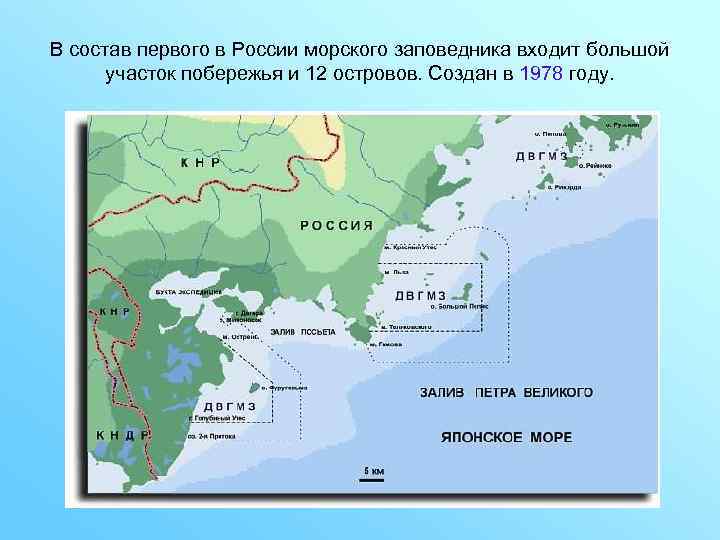 В состав первого в России морского заповедника входит большой участок побережья и 12 островов.