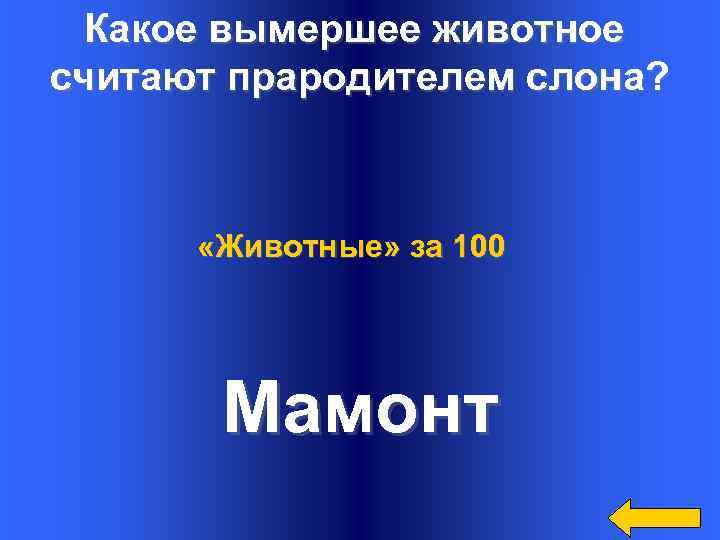 Какое вымершее животное считают прародителем слона? «Животные» за 100 Мамонт 