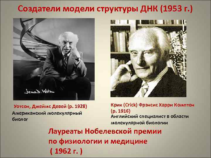 Создатели модели структуры ДНК (1953 г. ) Уотсон, Джеймс Девей (р. 1928) Американский молекулярный