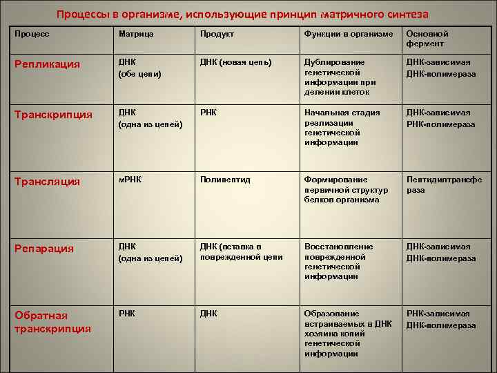 Синтез белка характеристика. Матричные процессы таблица биохимия. Матричные реакции в клетке. Матричные синтезы таблица. Репликация транскрипция трансляция таблица.