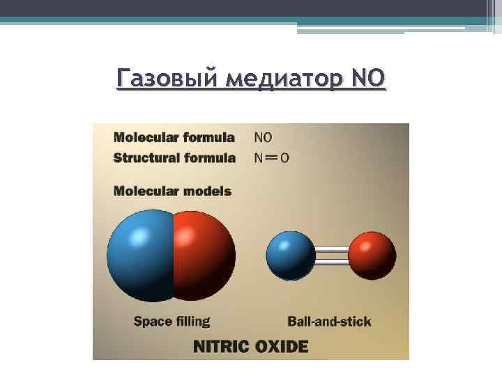 Газовый медиатор NO 