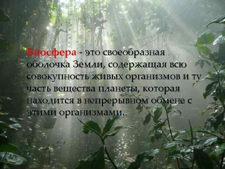 Биосфера - это своеобразная оболочка Земли, содержащая всю совокупность живых организмов и ту часть