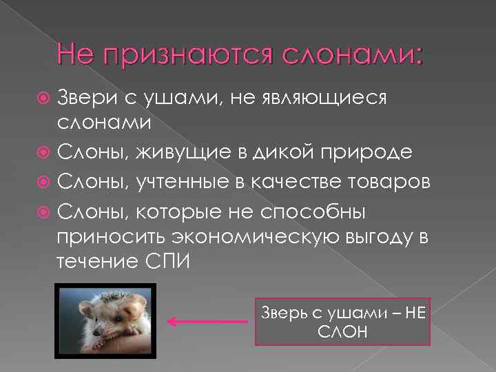 Не признаются слонами: Звери с ушами, не являющиеся слонами Слоны, живущие в дикой природе