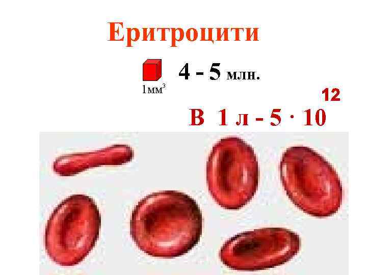 Еритроцити 1 мм 3 4 - 5 млн. В 1 л - 5 ·