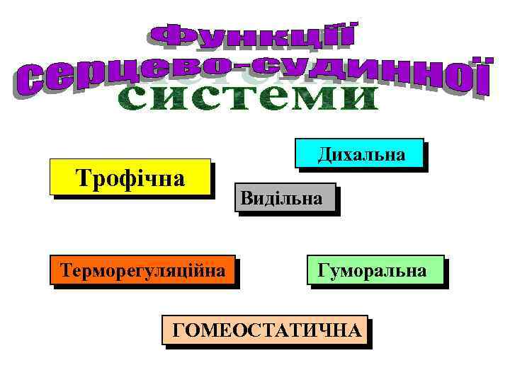 Трофічна Терморегуляційна Дихальна Видільна Гуморальна ГОМЕОСТАТИЧНА 