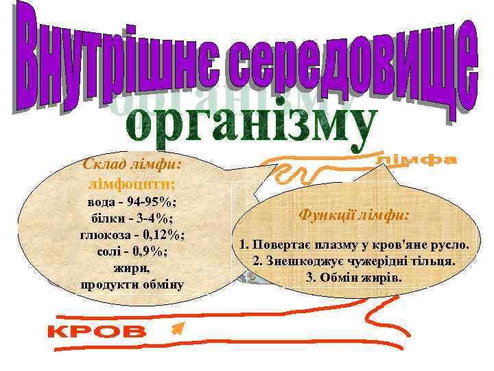 Склад лімфи: лімфоцити; вода - 94 -95%; білки - 3 -4%; глюкоза - 0,