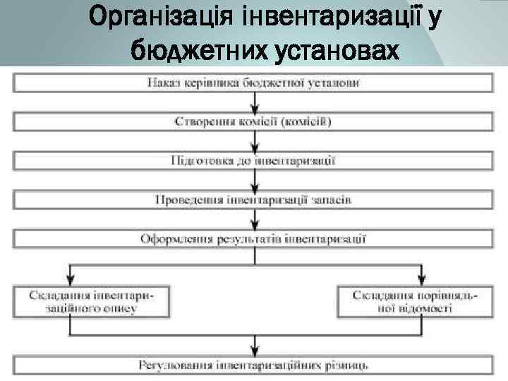 Організація інвентаризації у бюджетних установах 