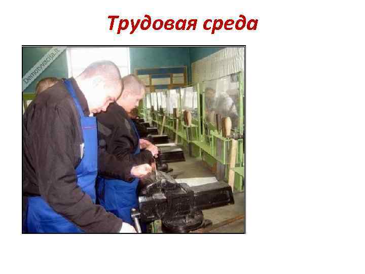 Трудовая среда 