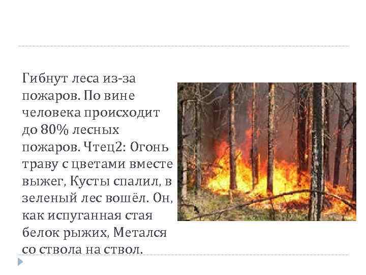 Гибнут леса из-за пожаров. По вине человека происходит до 80% лесных пожаров. Чтец2: Огонь