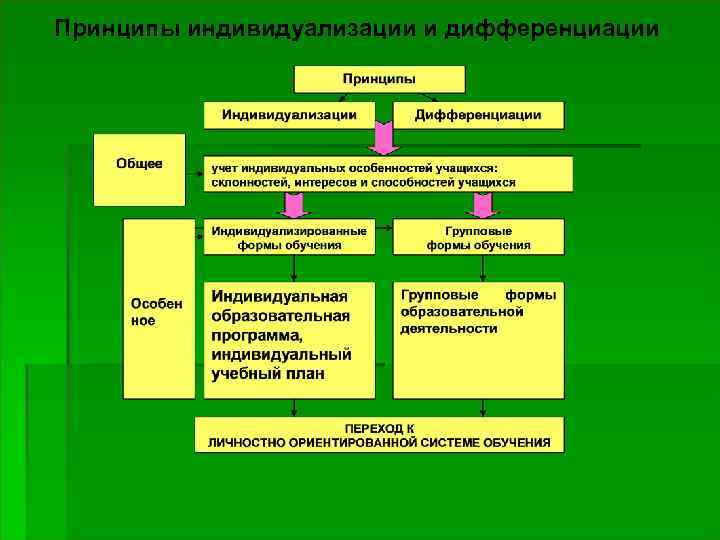 Принципы индивидуализации и дифференциации 