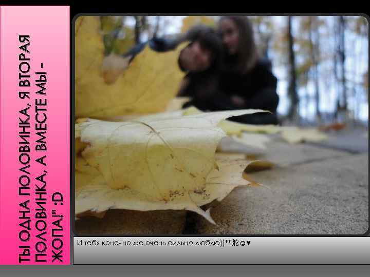 ТЫ ОДНА ПОЛОВИНКА, Я ВТОРАЯ ПОЛОВИНКА, А ВМЕСТЕ МЫ ЖОПА!" : D И тебя