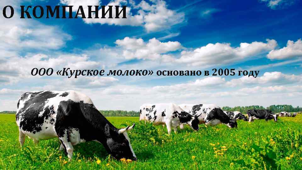 О КОМПАНИИ ООО «Курское молоко» основано в 2005 году 