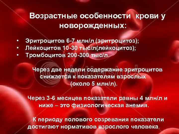 Возрастные особенности крови у новорожденных: • • • Эритроцитов 6 -7 млн/л (эритроцитоз); Лейкоцитов