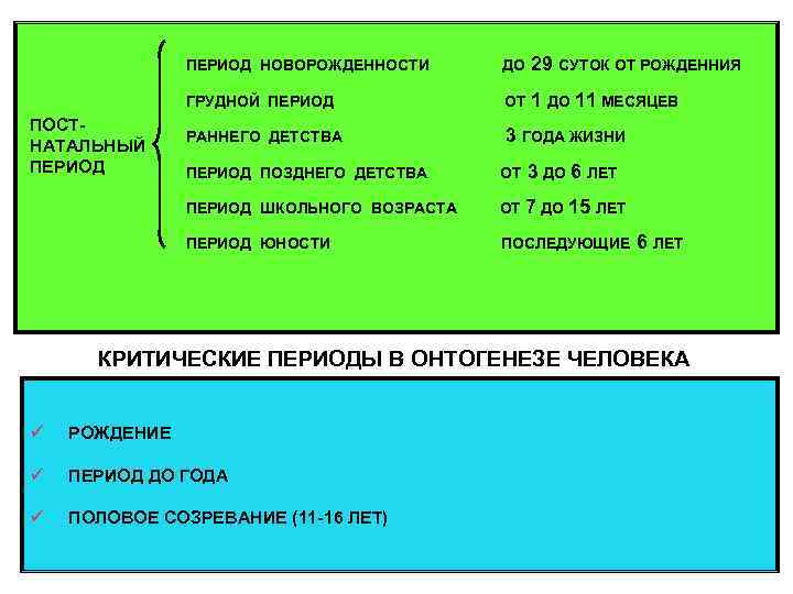 ПЕРИОД НОВОРОЖДЕННОСТИ 29 СУТОК ОТ РОЖДЕННИЯ ГРУДНОЙ ПЕРИОД ПОСТНАТАЛЬНЫЙ ПЕРИОД ДО ОТ 1 ДО