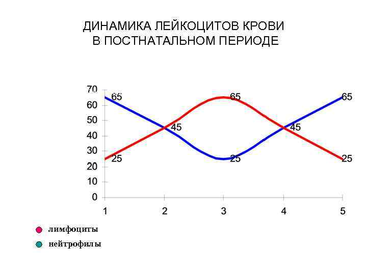 Схема физиологического перекреста лейкоцитарной формулы у детей