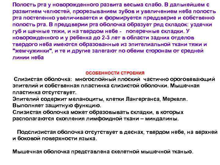 Полость рта у новорожденного развита весьма слабо. В дальнейшем с развитием челюстей, прорезыванием зубов