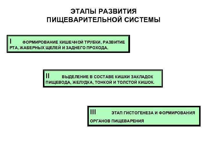 Презентация возрастные особенности развития пищеварительной системы