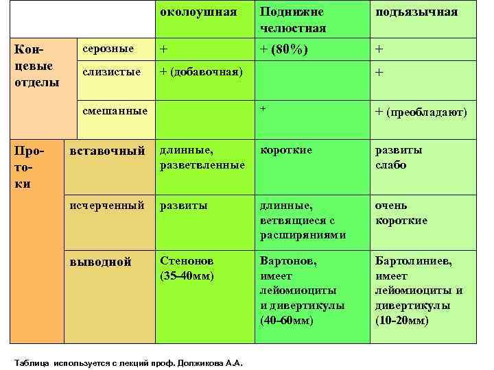 околоушная Концевые отделы Поднижне челюстная подъязычная серозные + + (80%) + слизистые + (добавочная)