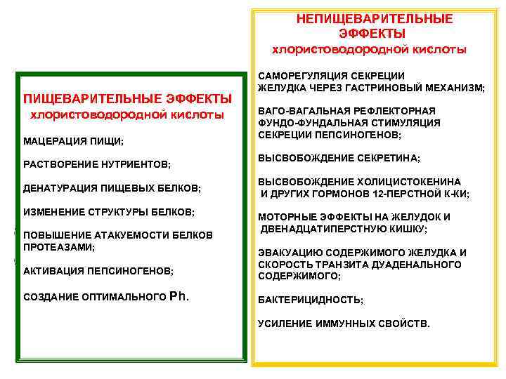 НЕПИЩЕВАРИТЕЛЬНЫЕ ЭФФЕКТЫ хлористоводородной кислоты МАЦЕРАЦИЯ ПИЩИ; РАСТВОРЕНИЕ НУТРИЕНТОВ; ДЕНАТУРАЦИЯ ПИЩЕВЫХ БЕЛКОВ; ИЗМЕНЕНИЕ СТРУКТУРЫ БЕЛКОВ;