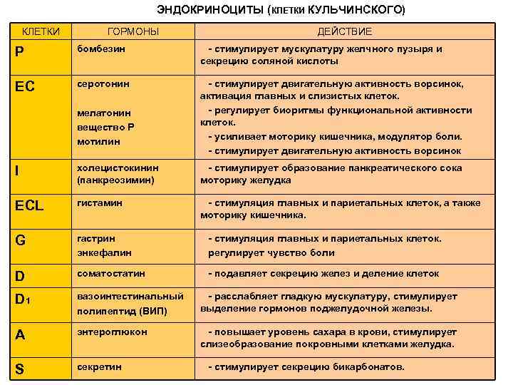 ЭНДОКРИНОЦИТЫ (КЛЕТКИ КУЛЬЧИНСКОГО) КЛЕТКИ ГОРМОНЫ ДЕЙСТВИЕ P бомбезин - стимулирует мускулатуру желчного пузыря и