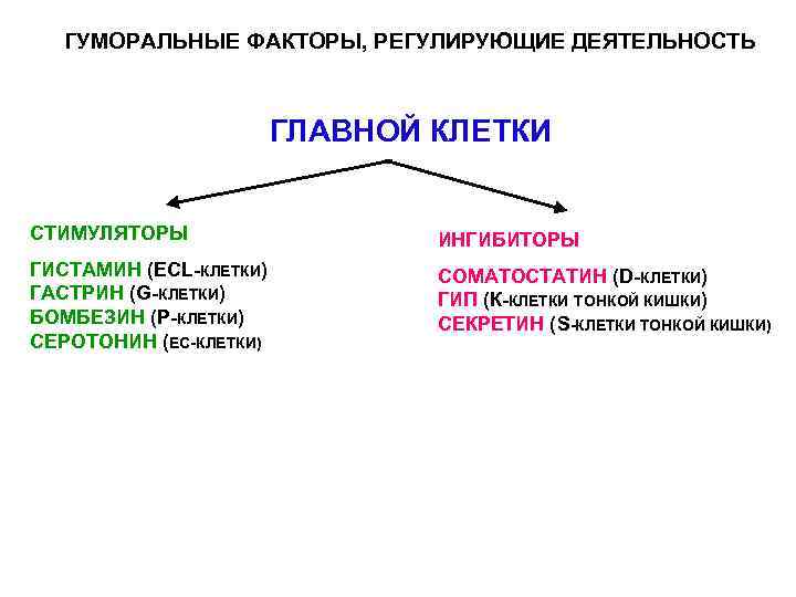 ГУМОРАЛЬНЫЕ ФАКТОРЫ, РЕГУЛИРУЮЩИЕ ДЕЯТЕЛЬНОСТЬ ГЛАВНОЙ КЛЕТКИ СТИМУЛЯТОРЫ ИНГИБИТОРЫ ГИСТАМИН (ЕСL-КЛЕТКИ) ГАСТРИН (G-КЛЕТКИ) БОМБЕЗИН (Р-КЛЕТКИ)