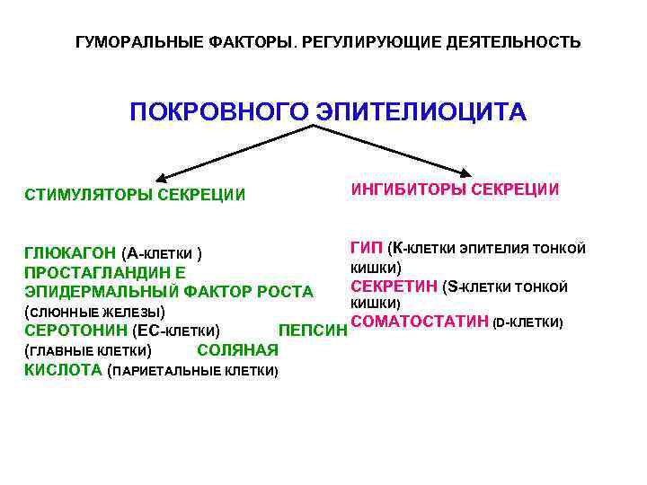 Гуморальные факторы. Покровная система функции. Функции покровной системы человека. Особенности строения покровной системы. Система покровных органов строение и функции.