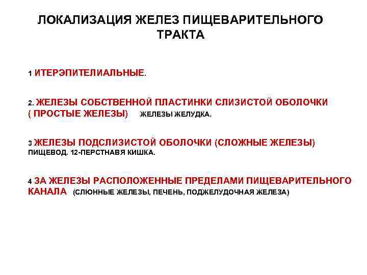 ЛОКАЛИЗАЦИЯ ЖЕЛЕЗ ПИЩЕВАРИТЕЛЬНОГО ТРАКТА 1 ИТЕРЭПИТЕЛИАЛЬНЫЕ. 2. ЖЕЛЕЗЫ СОБСТВЕННОЙ ПЛАСТИНКИ СЛИЗИСТОЙ ОБОЛОЧКИ ( ПРОСТЫЕ