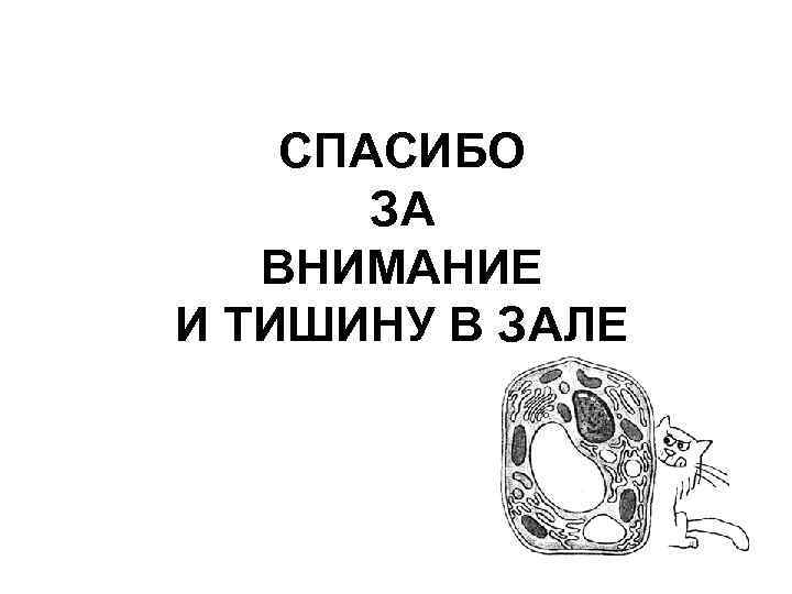 СПАСИБО ЗА ВНИМАНИЕ И ТИШИНУ В ЗАЛЕ 