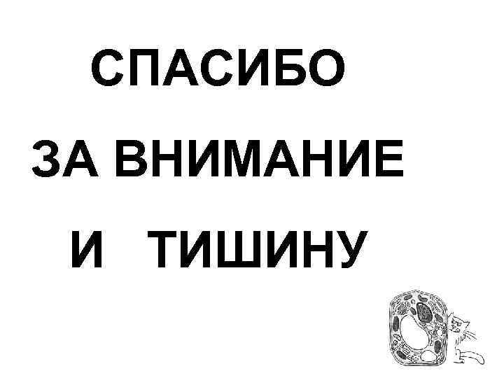 СПАСИБО ЗА ВНИМАНИЕ И ТИШИНУ 